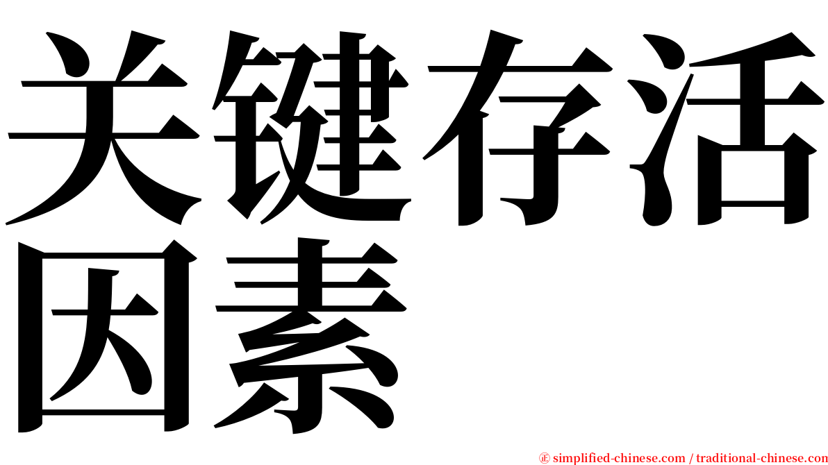 关键存活因素 serif font