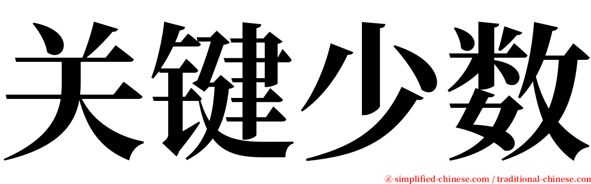 关键少数 serif font