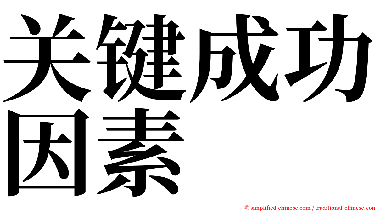 关键成功因素 serif font