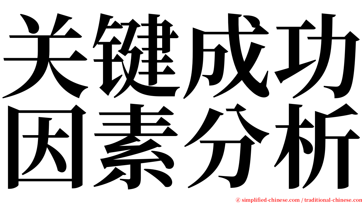 关键成功因素分析 serif font