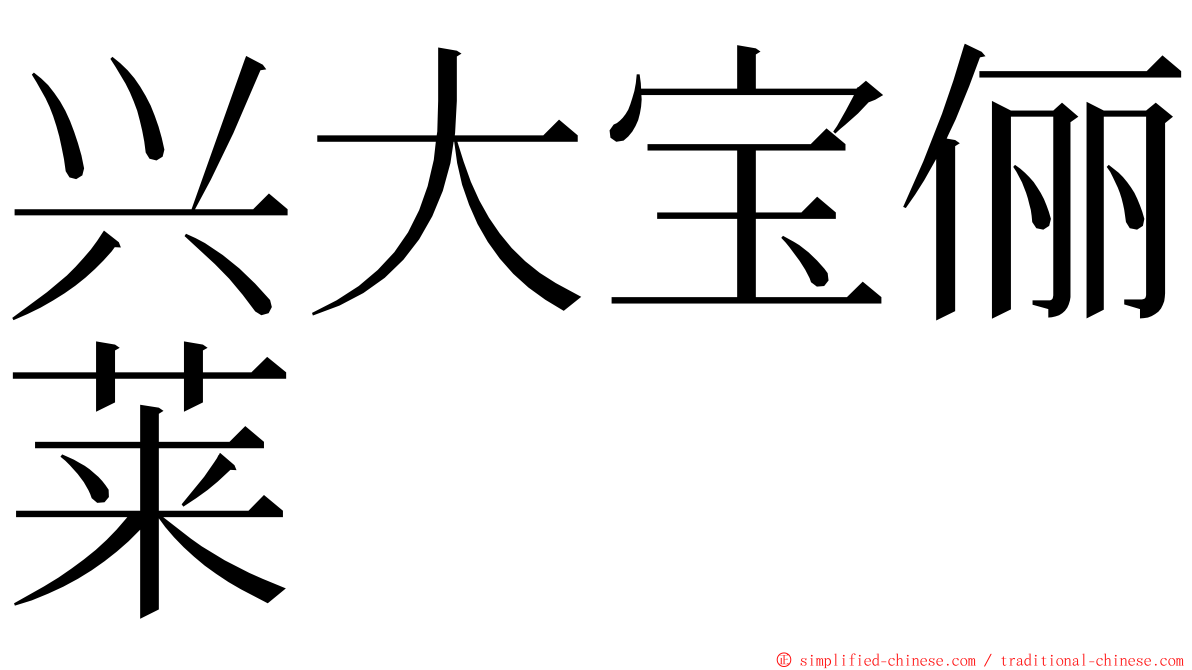 兴大宝俪莱 ming font