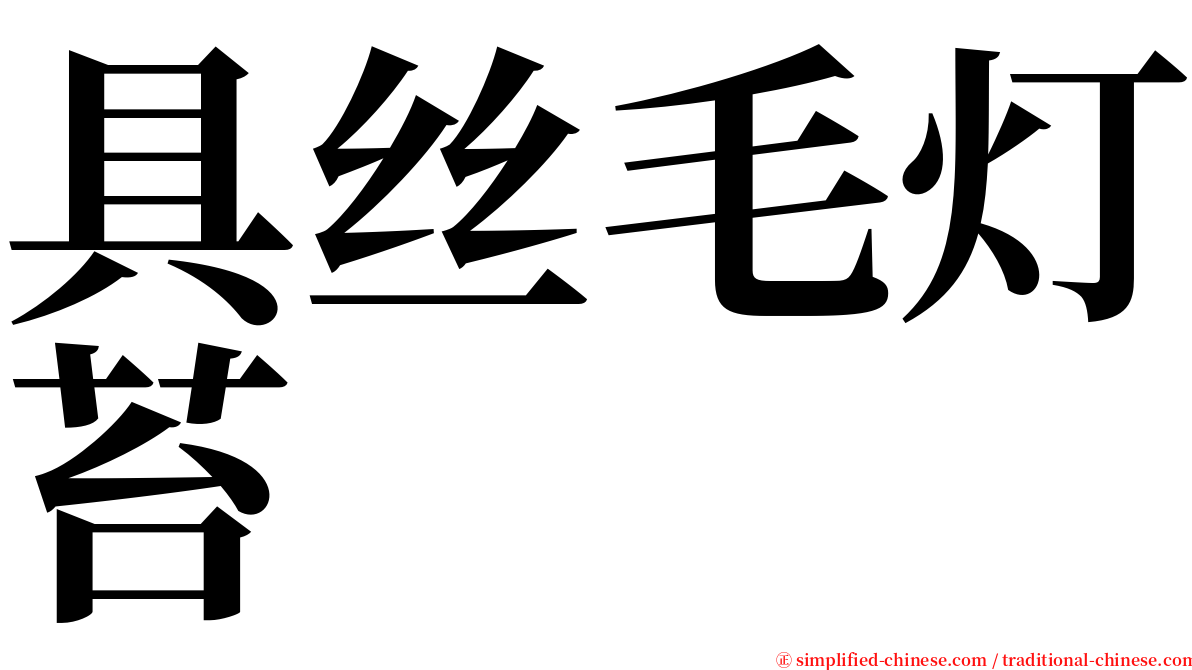 具丝毛灯苔 serif font