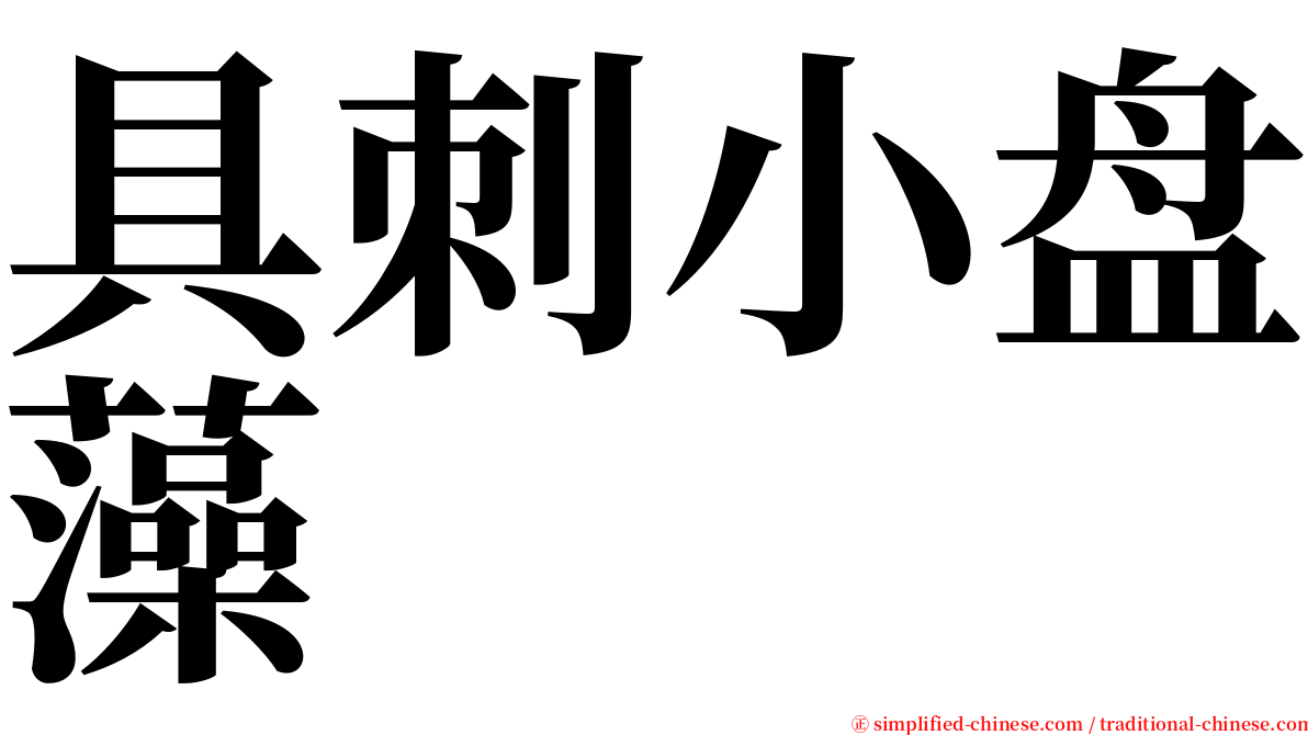 具刺小盘藻 serif font