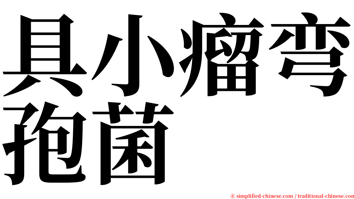 具小瘤弯孢菌 serif font