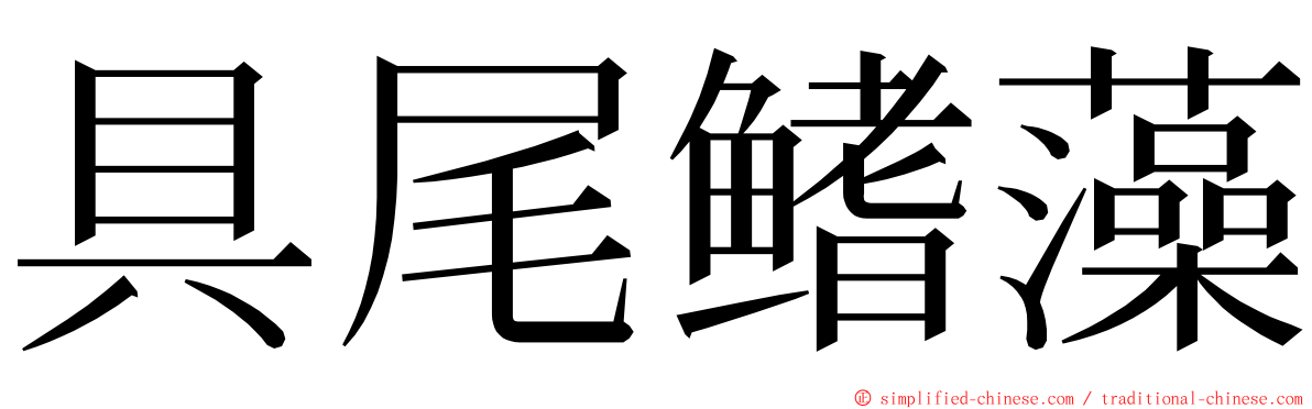 具尾鳍藻 ming font