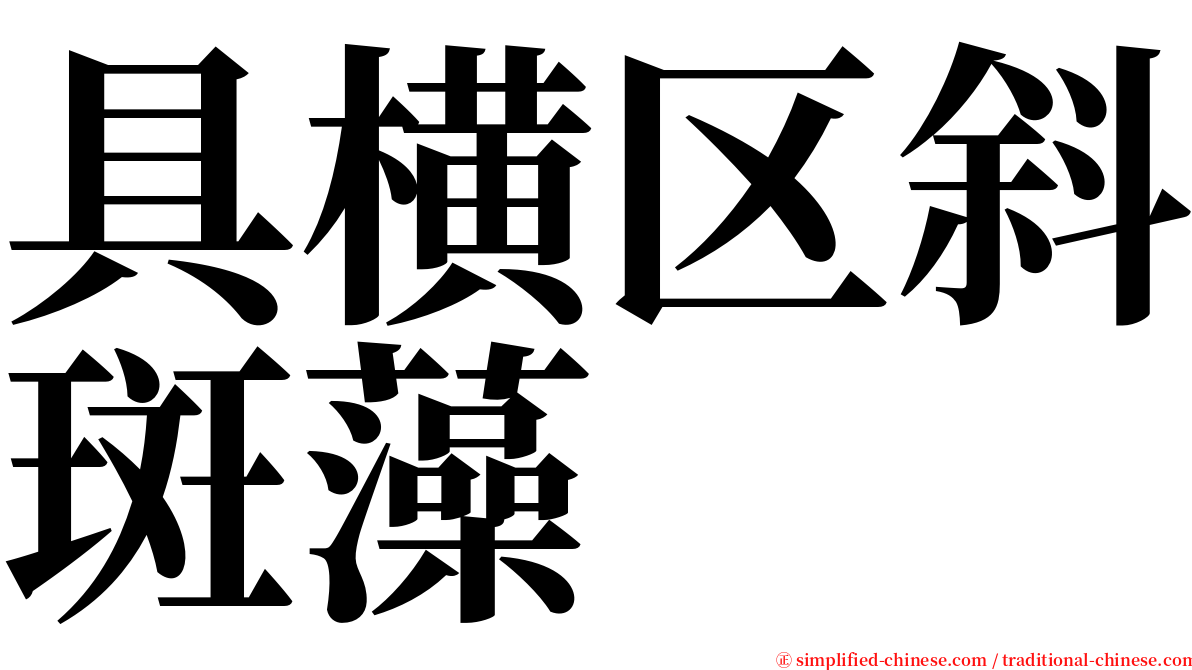 具横区斜斑藻 serif font