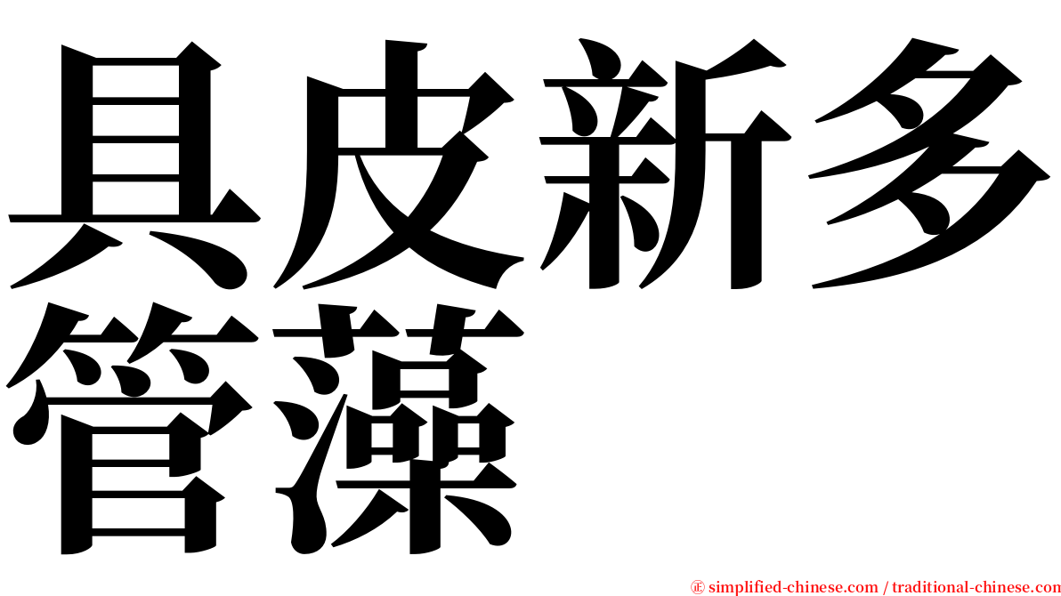 具皮新多管藻 serif font