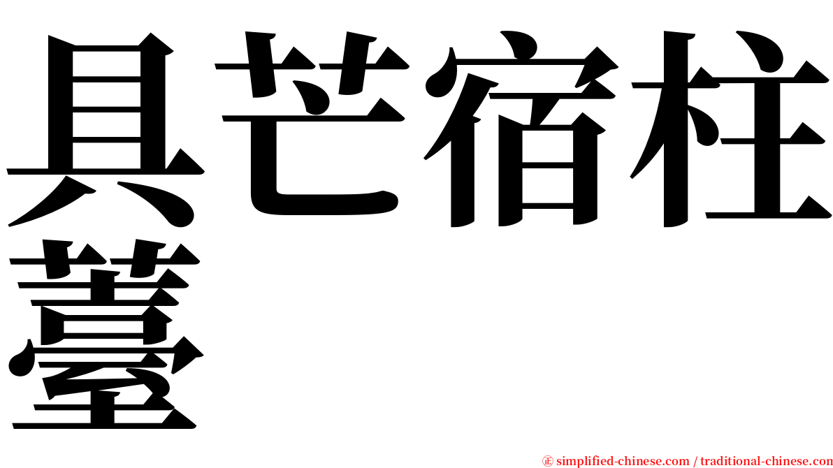 具芒宿柱薹 serif font