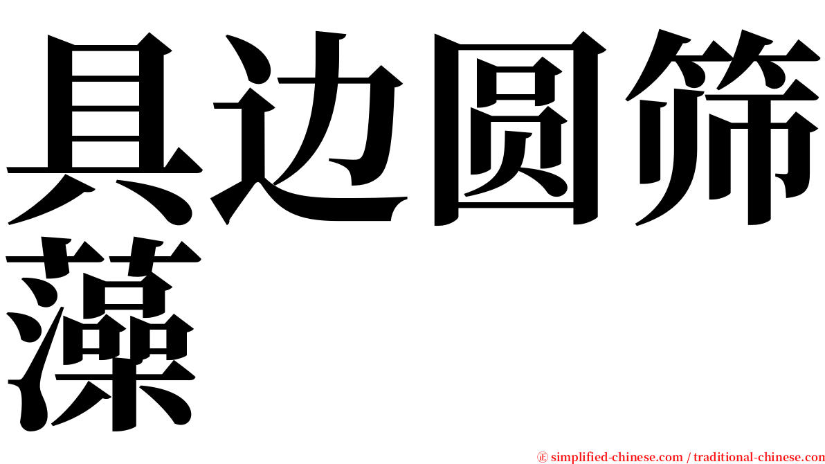 具边圆筛藻 serif font