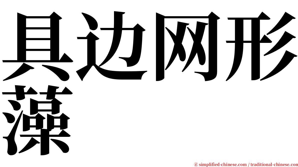 具边网形藻 serif font