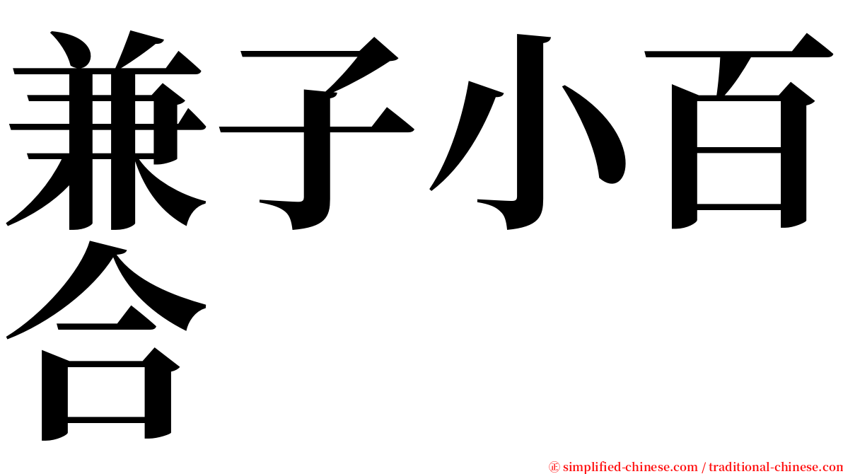 兼子小百合 serif font