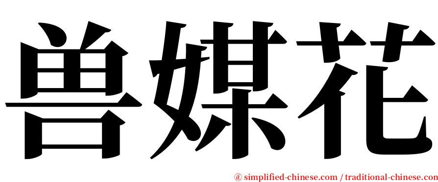 兽媒花 serif font