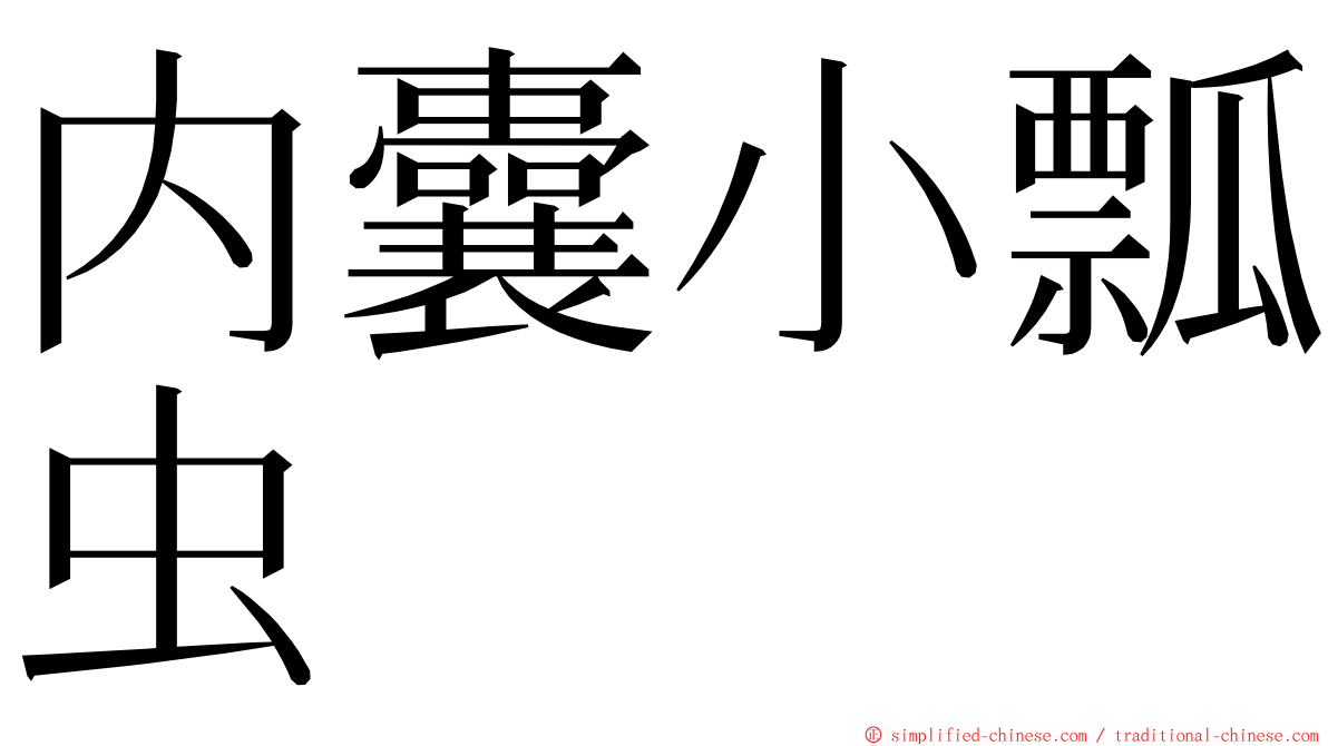 内囊小瓢虫 ming font