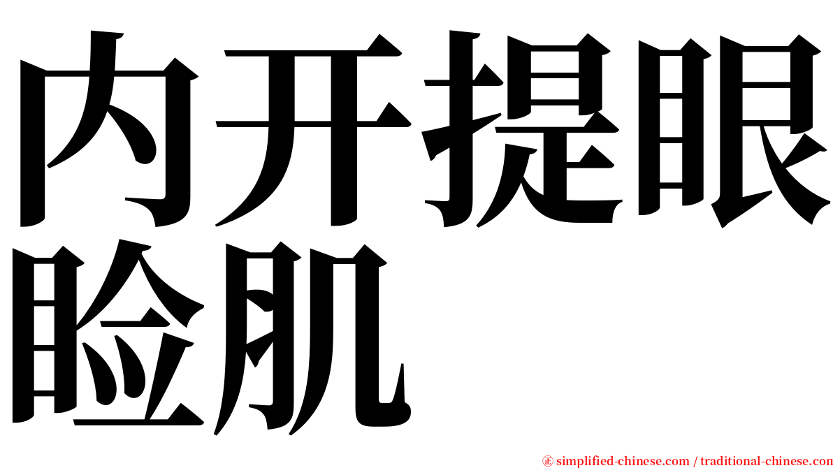 内开提眼睑肌 serif font