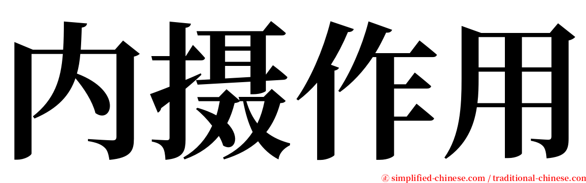 内摄作用 serif font