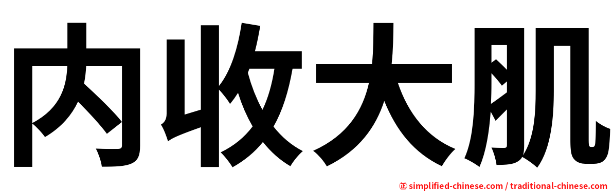 内收大肌