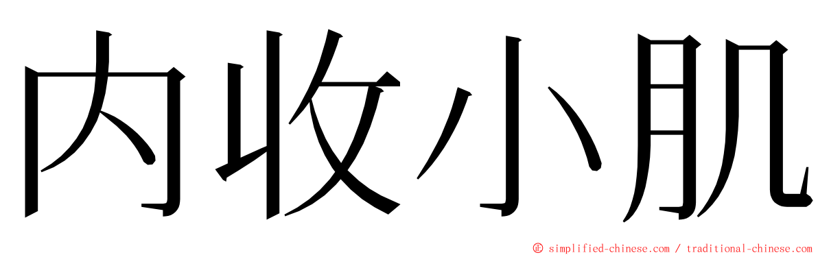 内收小肌 ming font