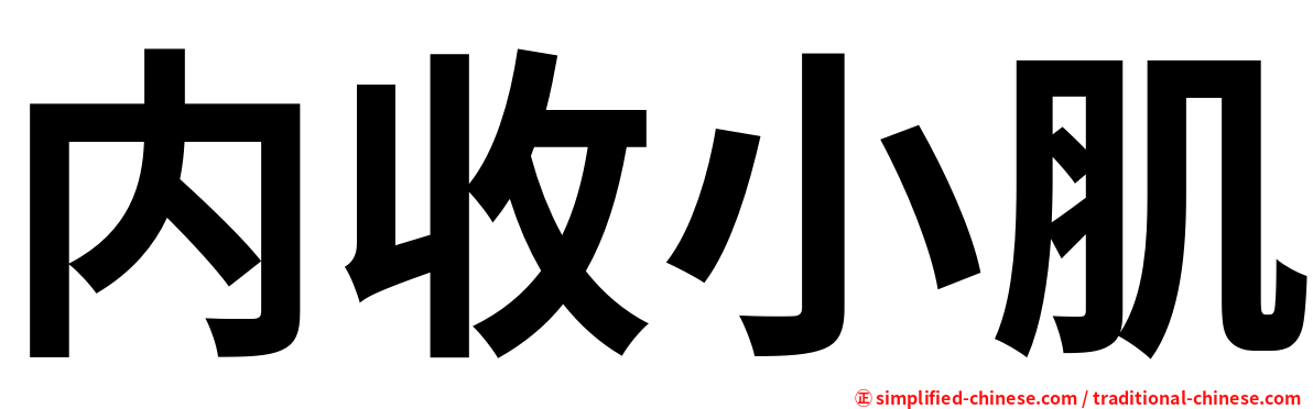 内收小肌