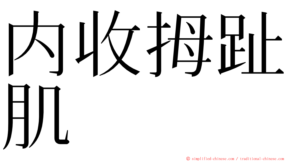 内收拇趾肌 ming font