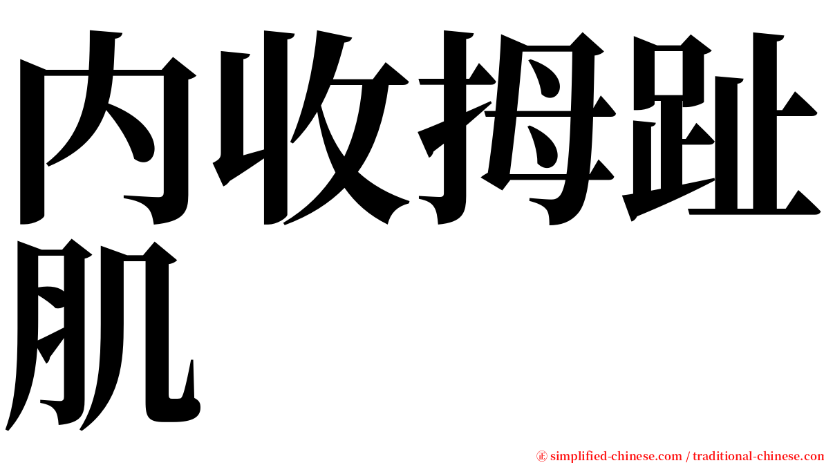 内收拇趾肌 serif font