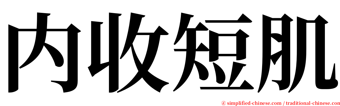 内收短肌 serif font