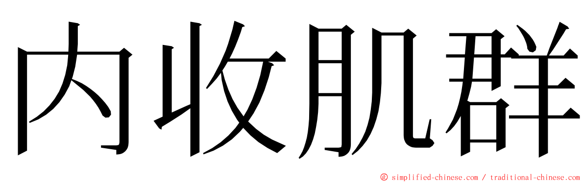 内收肌群 ming font