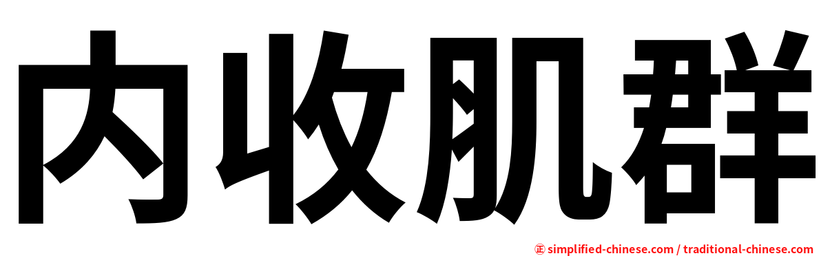 内收肌群