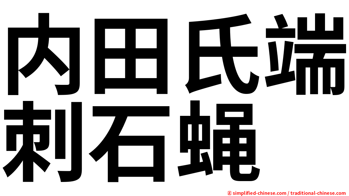 内田氏端刺石蝇