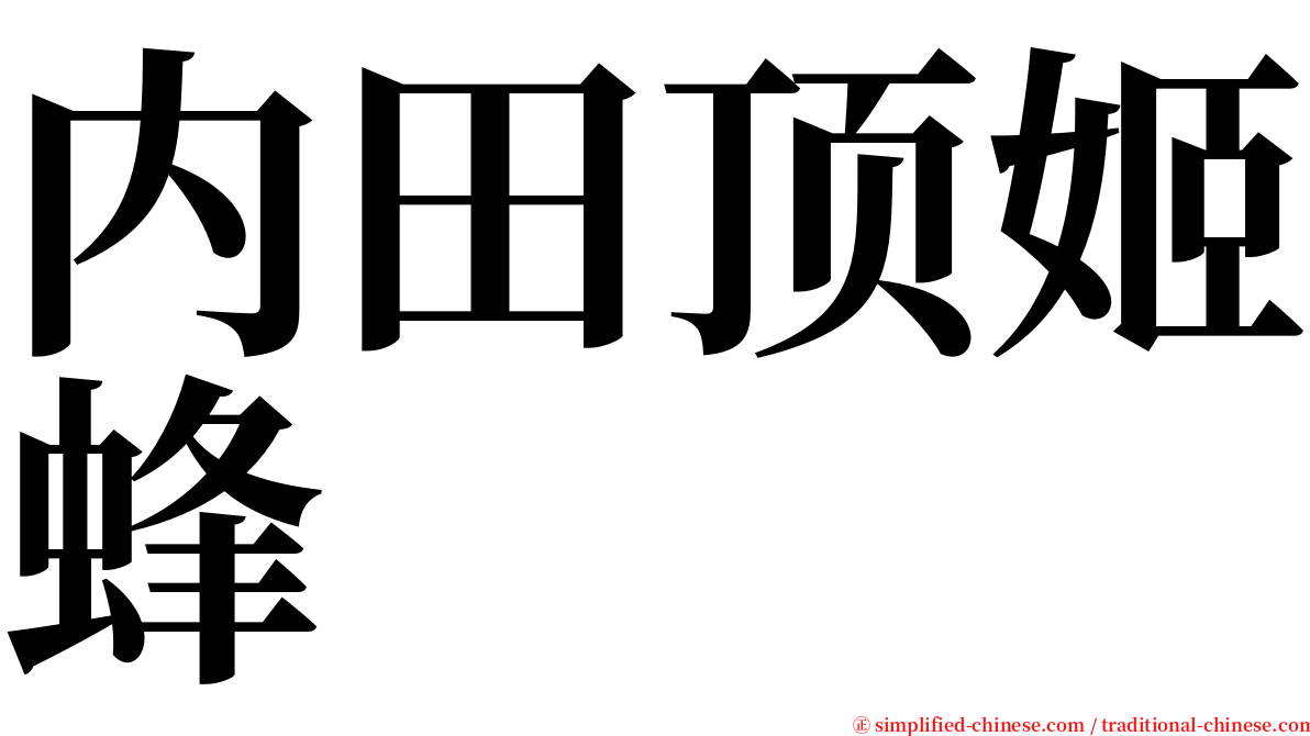 内田顶姬蜂 serif font