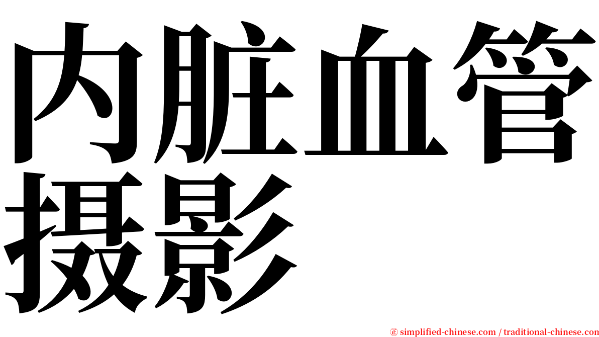 内脏血管摄影 serif font