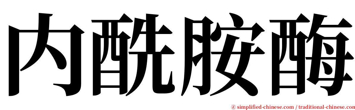 内酰胺酶 serif font