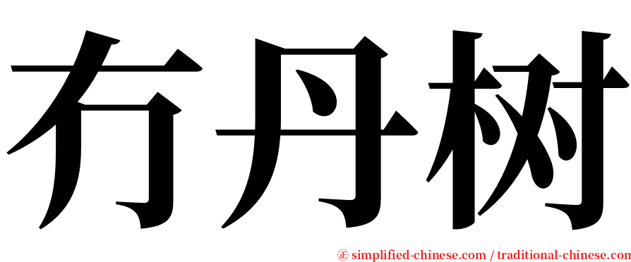 冇丹树 serif font