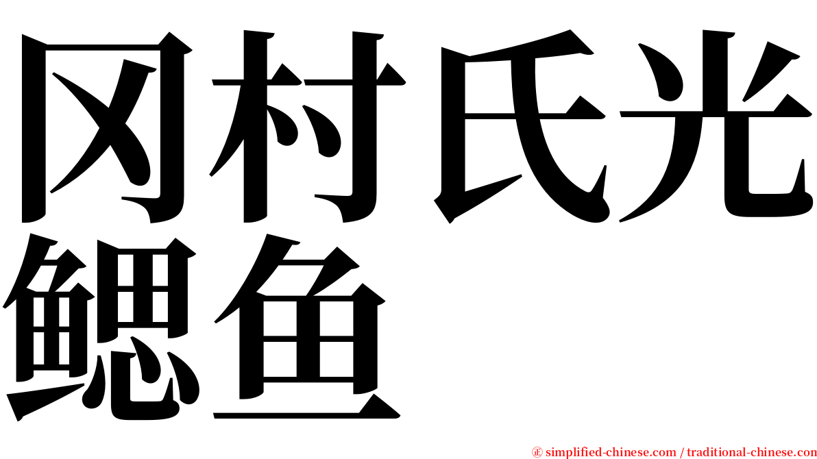 冈村氏光鳃鱼 serif font