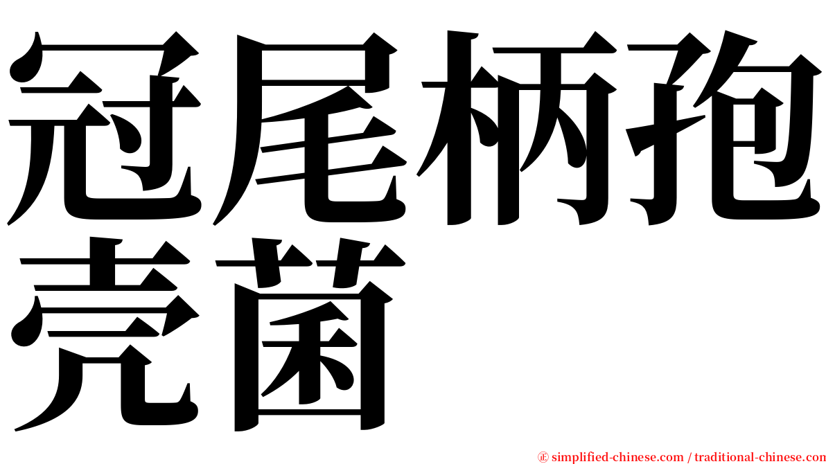 冠尾柄孢壳菌 serif font