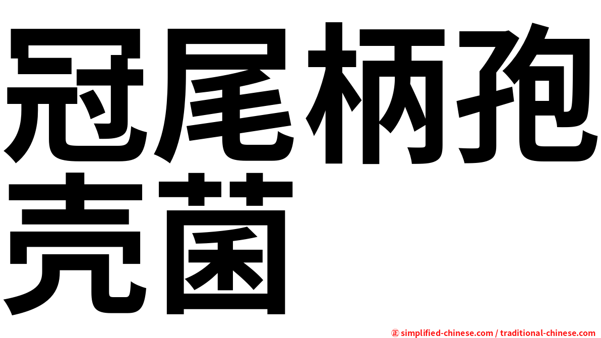 冠尾柄孢壳菌