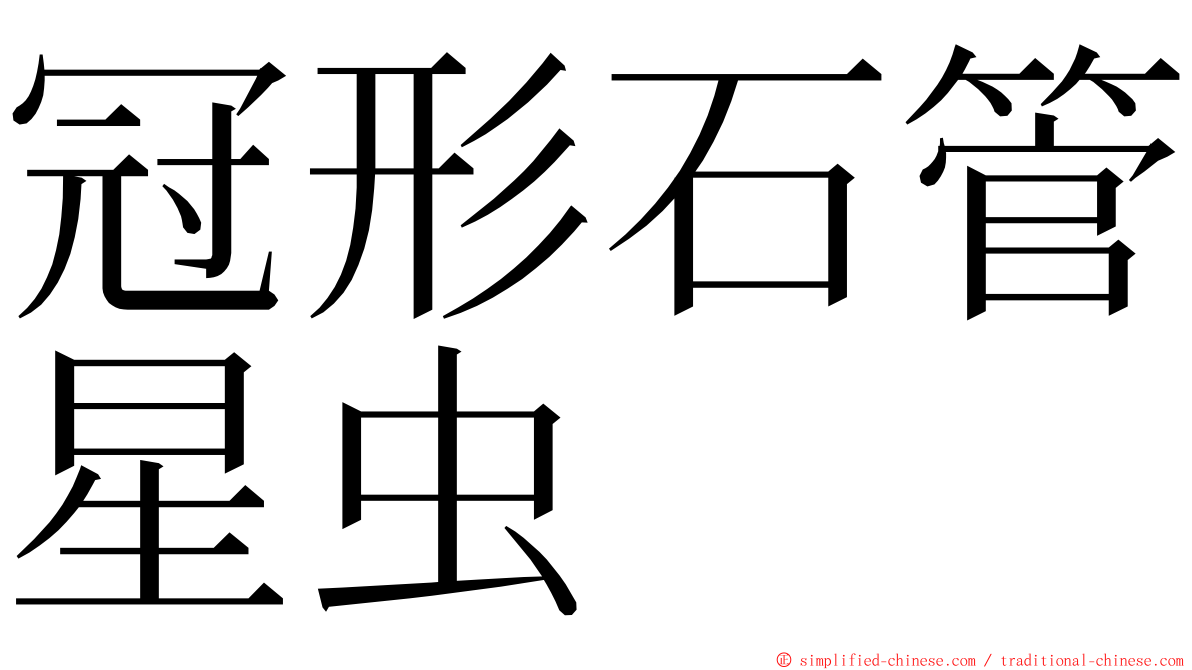 冠形石管星虫 ming font