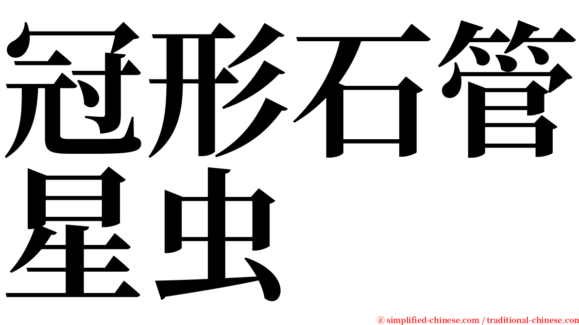 冠形石管星虫 serif font