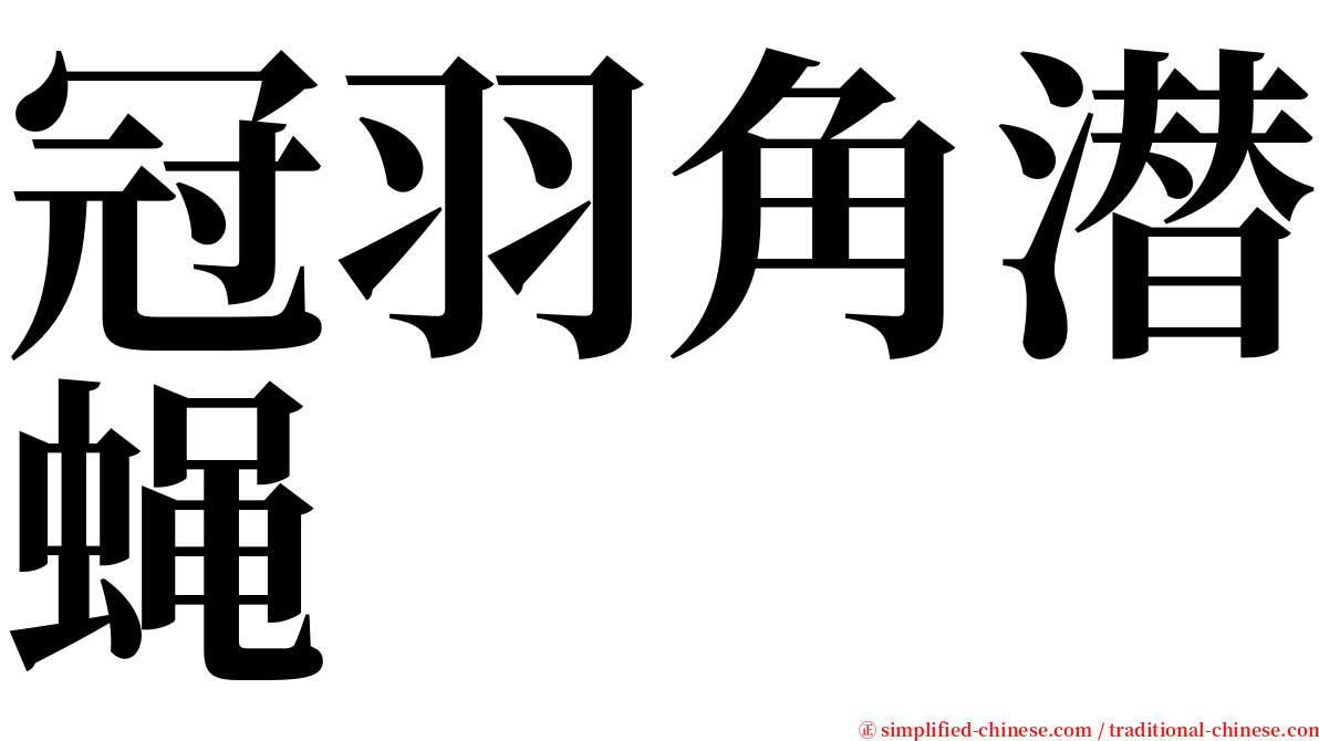 冠羽角潜蝇 serif font