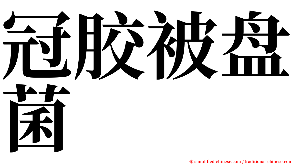 冠胶被盘菌 serif font