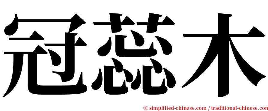 冠蕊木 serif font