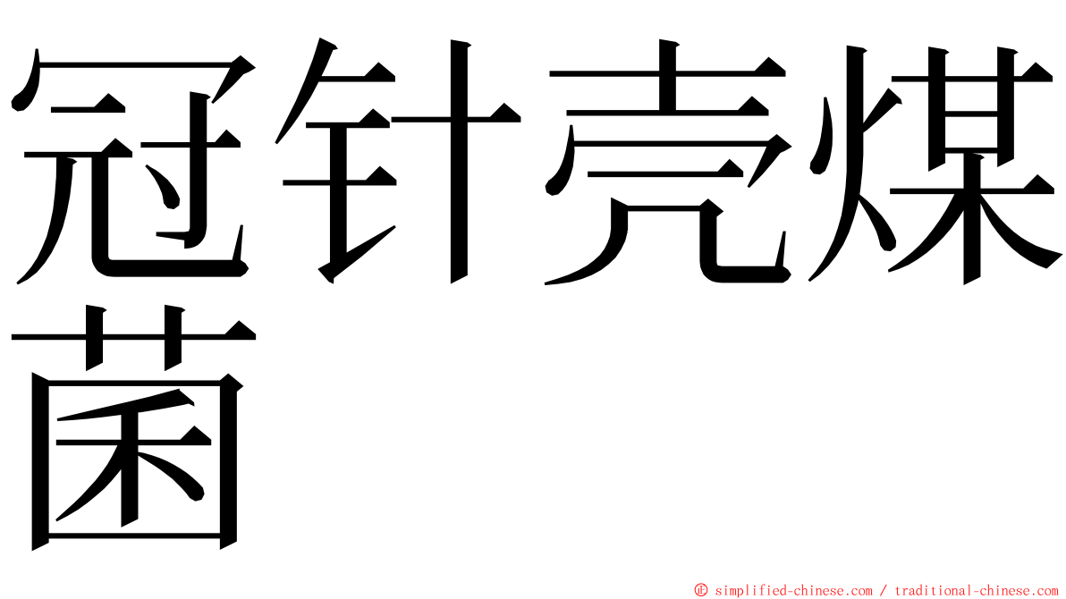 冠针壳煤菌 ming font