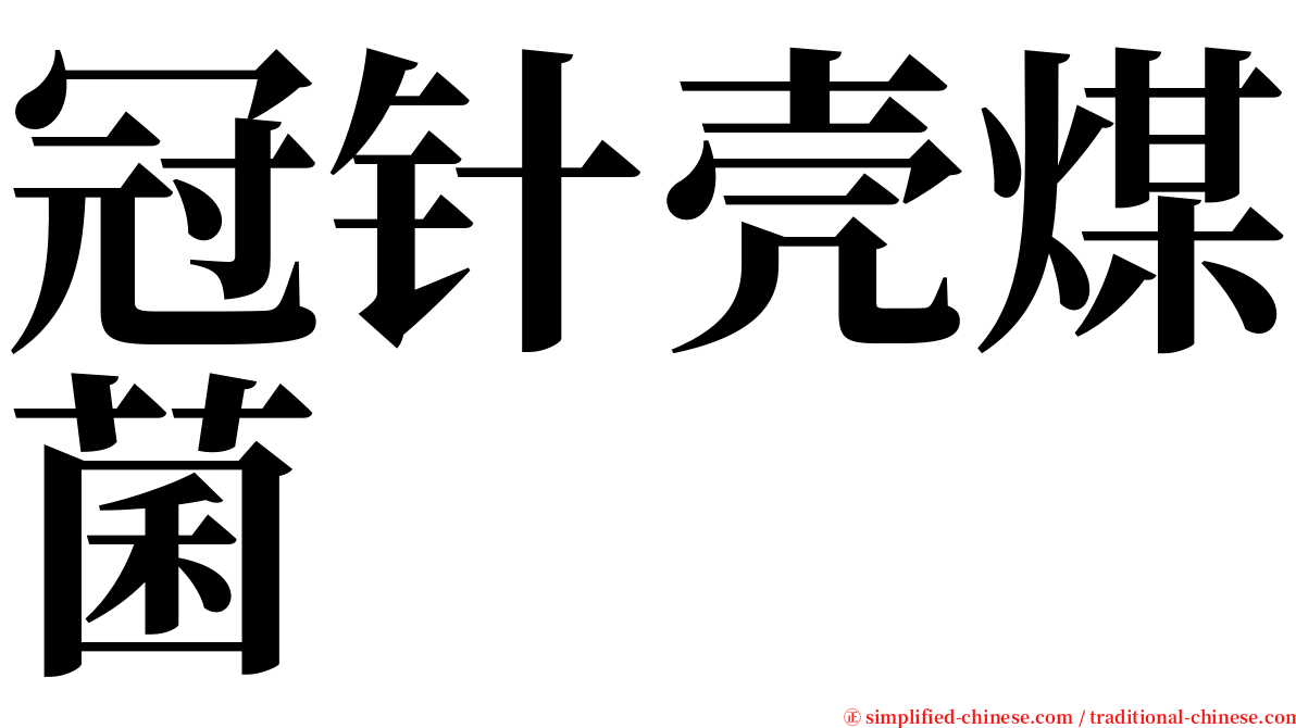 冠针壳煤菌 serif font