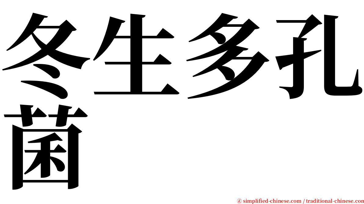 冬生多孔菌 serif font