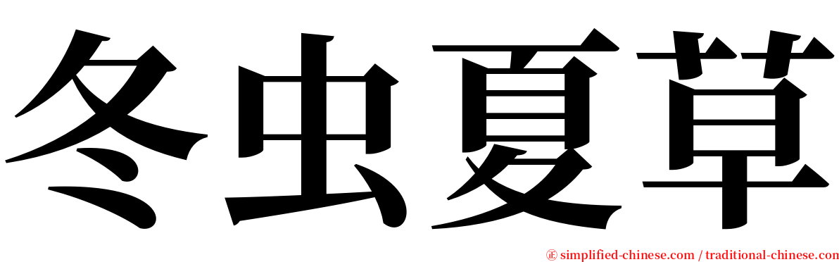 冬虫夏草 serif font