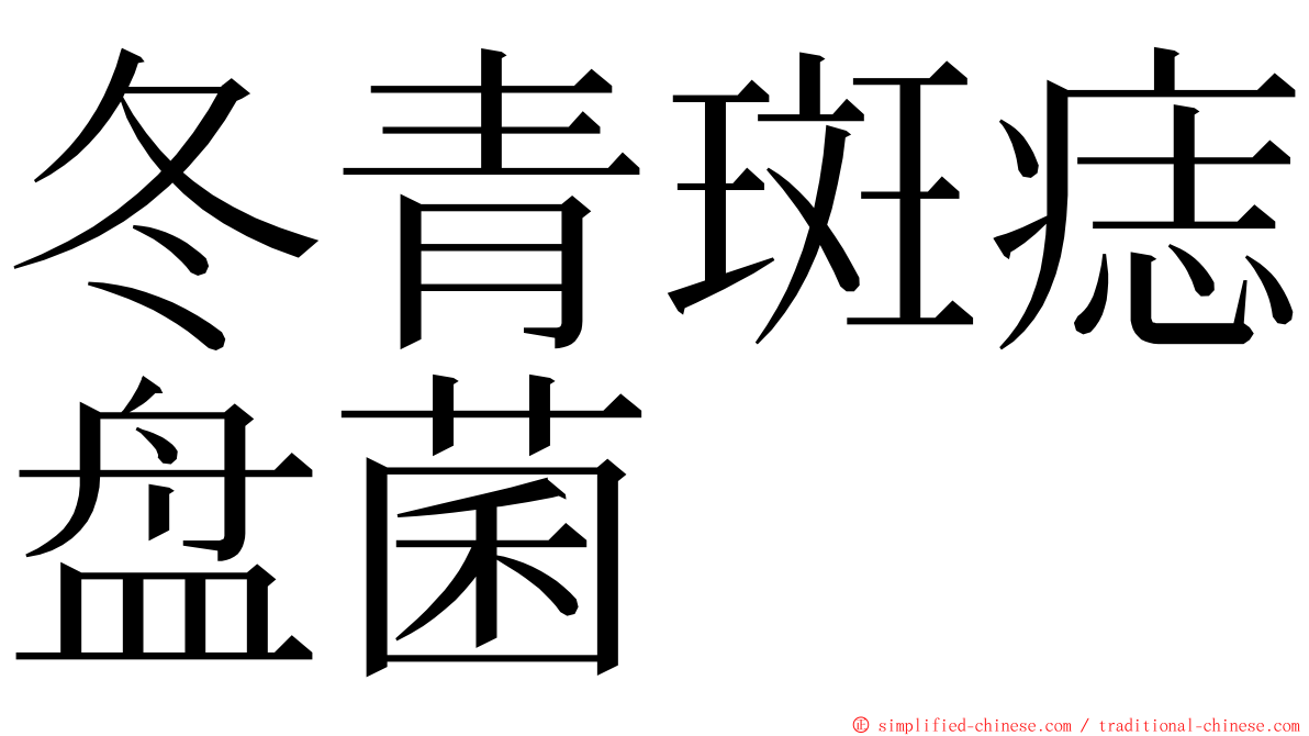 冬青斑痣盘菌 ming font