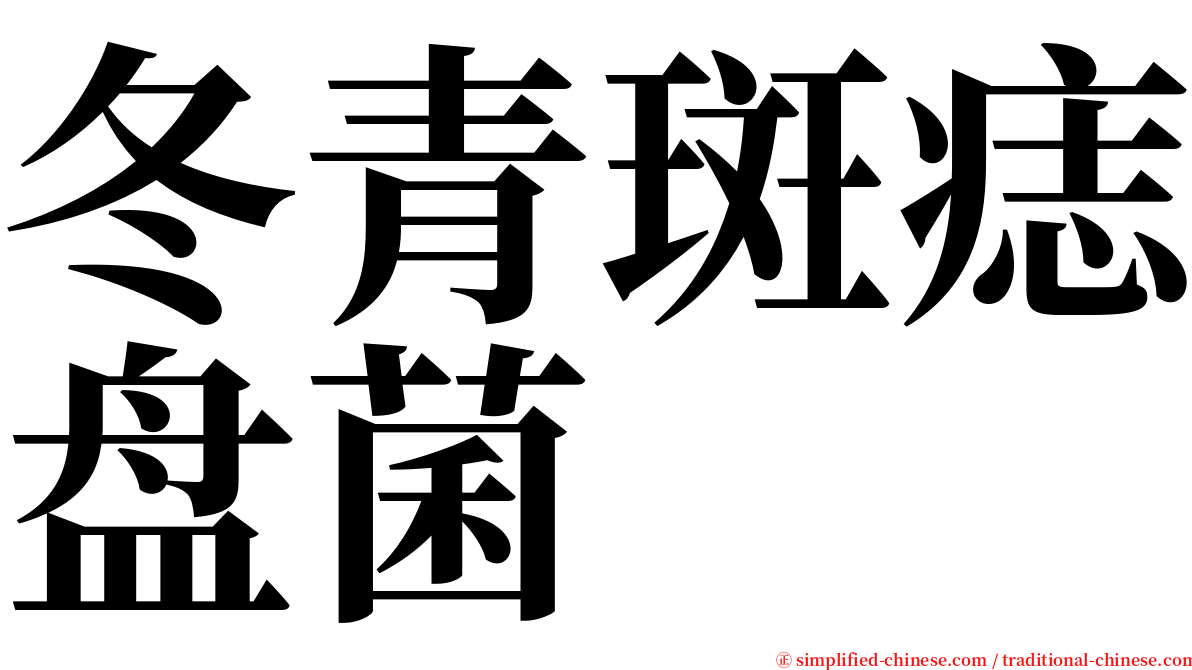 冬青斑痣盘菌 serif font