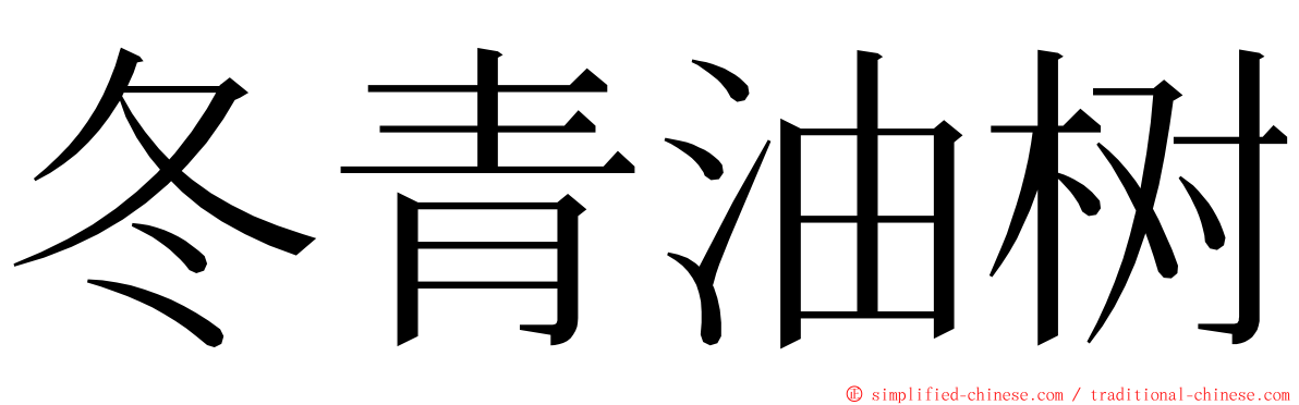 冬青油树 ming font