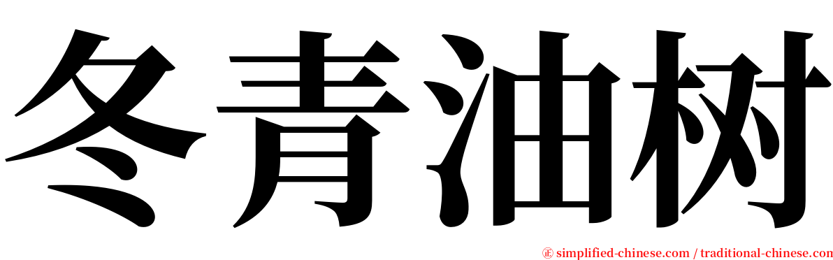 冬青油树 serif font