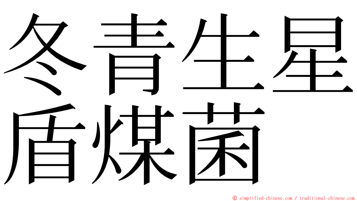 冬青生星盾煤菌 ming font