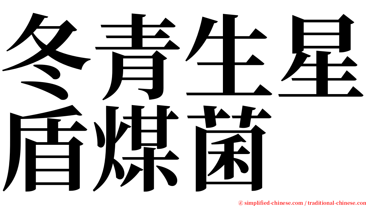 冬青生星盾煤菌 serif font